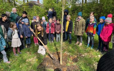 Neues aus Grundschule Stadum *Mai*