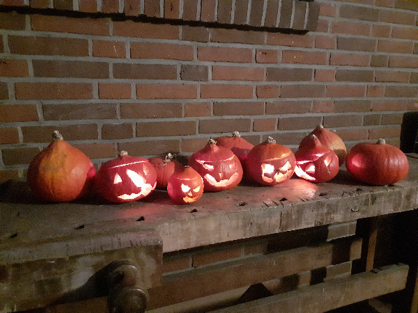 Neues aus Grundschule Stadum *Oktober*