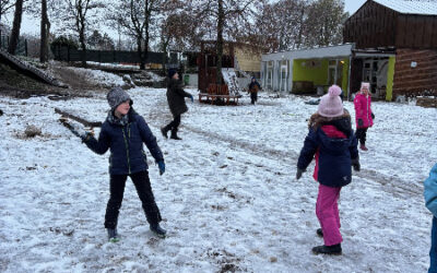 Neues aus Grundschule Stadum *November*