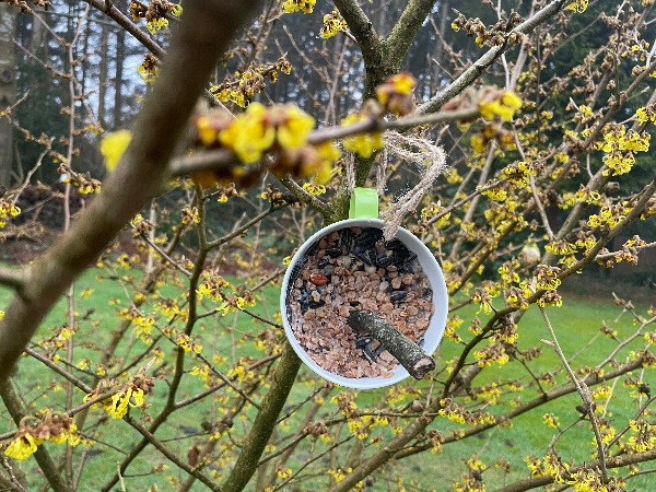 Neues aus Grundschule Stadum *Januar*