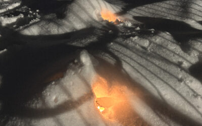 Neues aus Grundschule Stadum *Januar 2026*