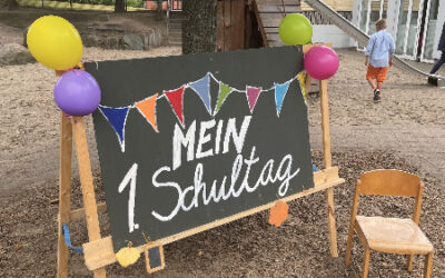 Neues aus Grundschule Stadum *August 2026*